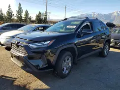 4T3MWRFVXSU206805 2025 TOYOTA RAV 4