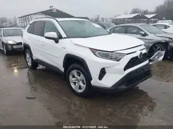 4T3R6RFV0MU019923 2021 TOYOTA RAV 4