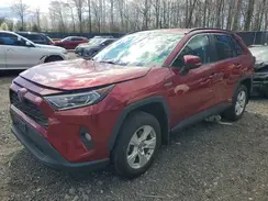 4T3R6RFV3MU011959 2021 TOYOTA RAV 4