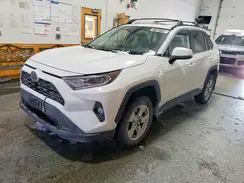 4T3R6RFV3MU031483 2021 TOYOTA RAV 4
