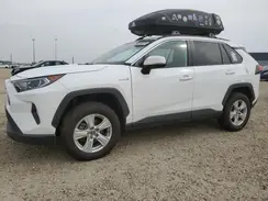 4T3R6RFV6MU021661 2021 TOYOTA RAV 4