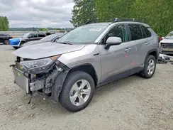 4T3R6RFV6MU027492 2021 TOYOTA RAV 4