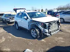 4T3R6RFV7MU019465 2021 TOYOTA RAV 4