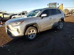 4T3R6RFV9LU004125 2020 TOYOTA RAV 4