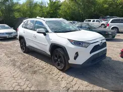 4T3R6RFVXLU001802 2020 TOYOTA RAV 4