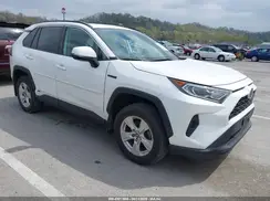 4T3RWRFV0LU004238 2020 TOYOTA RAV 4
