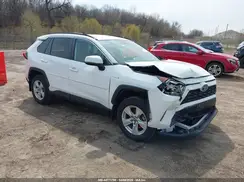 4T3RWRFV0MU036253 2021 TOYOTA RAV 4