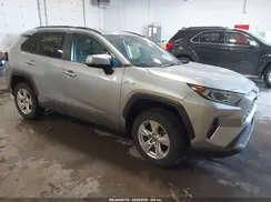 4T3RWRFV0MU046135 2021 TOYOTA RAV 4
