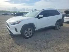 4T3RWRFV0PU088597 2023 TOYOTA RAV 4