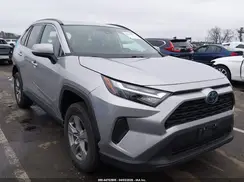 4T3RWRFV0PU101719 2023 TOYOTA RAV 4
