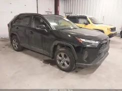 4T3RWRFV0RU110357 2024 TOYOTA RAV 4