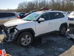 4T3RWRFV0RU114361 2024 TOYOTA RAV 4