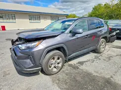4T3RWRFV0RU129507 2024 TOYOTA RAV 4