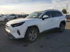 4T3RWRFV0RU132231 2024 TOYOTA RAV 4