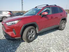 4T3RWRFV0RU135355 2024 TOYOTA RAV 4