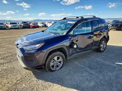 4T3RWRFV0RU154357 2024 TOYOTA RAV 4