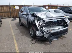 4T3RWRFV0RU159283 2024 TOYOTA RAV 4