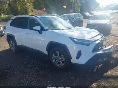4T3RWRFV0SU197943 2025 TOYOTA RAV 4