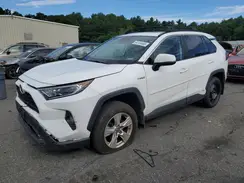 4T3RWRFV1LU003535 2020 TOYOTA RAV 4