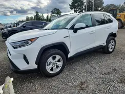 4T3RWRFV1MU019901 2021 TOYOTA RAV 4