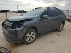 4T3RWRFV1MU029215 2021 TOYOTA RAV 4