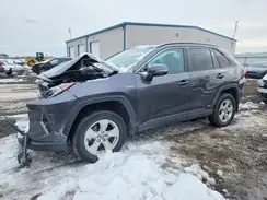 4T3RWRFV1MU036035 2021 TOYOTA RAV 4