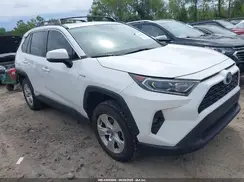 4T3RWRFV1MU037203 2021 TOYOTA RAV 4