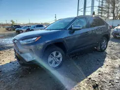 4T3RWRFV1RU116412 2024 TOYOTA RAV 4
