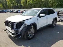 4T3RWRFV1RU117723 2024 TOYOTA RAV 4