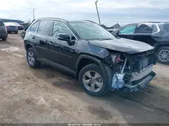 4T3RWRFV1RU119357 2024 TOYOTA RAV 4