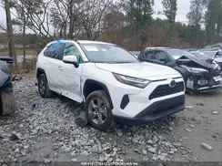 4T3RWRFV1RU121853 2024 TOYOTA RAV 4