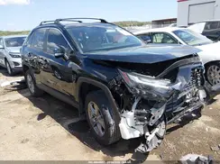 4T3RWRFV1RU121948 2024 TOYOTA RAV 4
