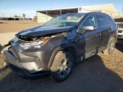 4T3RWRFV1RU126194 2024 TOYOTA RAV 4