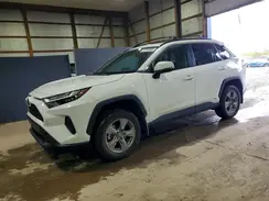 4T3RWRFV1RU128785 2024 TOYOTA RAV 4