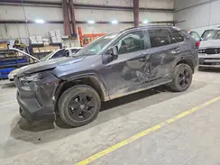 4T3RWRFV1RU129127 2024 TOYOTA RAV 4