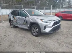 4T3RWRFV1RU134165 2024 TOYOTA RAV 4