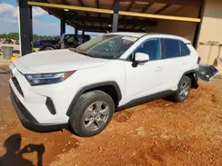 4T3RWRFV1RU135316 2024 TOYOTA RAV 4