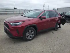 4T3RWRFV1RU135493 2024 TOYOTA RAV 4