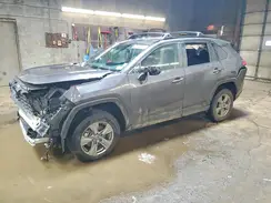 4T3RWRFV1RU140421 2024 TOYOTA RAV 4