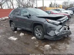 4T3RWRFV1RU140595 2024 TOYOTA RAV 4