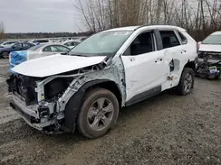 4T3RWRFV1RU144873 2024 TOYOTA RAV 4