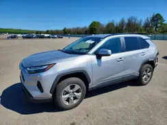 4T3RWRFV1RU148552 2024 TOYOTA RAV 4