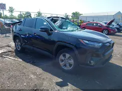 4T3RWRFV1RU150463 2024 TOYOTA RAV 4