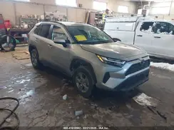 4T3RWRFV1RU161639 2024 TOYOTA RAV 4