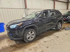 4T3RWRFV1RU163245 2024 TOYOTA RAV 4