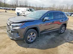 4T3RWRFV1SU167477 2025 TOYOTA RAV 4