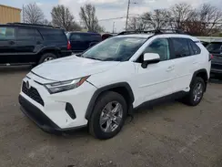 4T3RWRFV1SU184036 2025 TOYOTA RAV 4