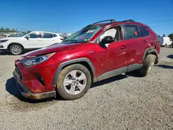 4T3RWRFV2MU047982 2021 TOYOTA RAV 4