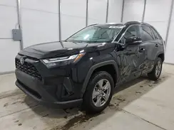 4T3RWRFV2PU092019 2023 TOYOTA RAV 4