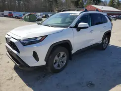 4T3RWRFV2PU103231 2023 TOYOTA RAV 4